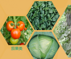 簽約燕*（朝陽）農業科技股份有限公司遼寧網站制作價格*950