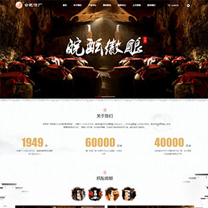 釀造酒類網(wǎng)站建設(shè)上線金*茅古酒廠官網(wǎng)