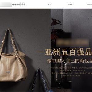 上線皮具網站建設菲*皮具有限公司官網