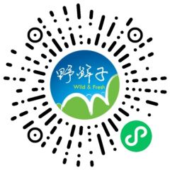 野鮮子小程序二維碼