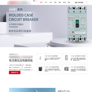 保定網站制作蘭*電器股份有限公司簽訂做網站項目