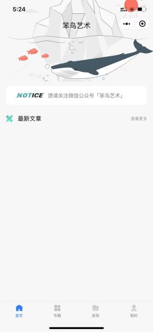 笨鳥藝術(shù)小程序設(shè)計圖1
