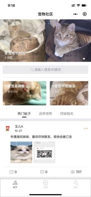 寵物助理小程序設計圖3