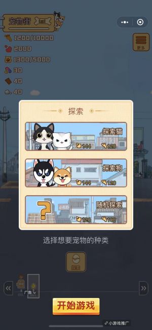 小寵物大步走小程序設(shè)計(jì)圖2