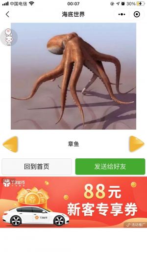 寶寶認識動物小程序設計圖2