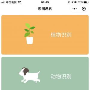 欣賞工具小程序制作腦筋急轉(zhuǎn)彎題目大全