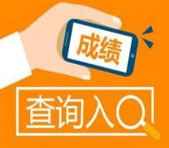 甘肅小程序開發快查成績