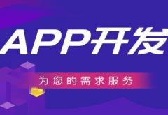 APP定制開發公司詳談app開發需要注意的幾點