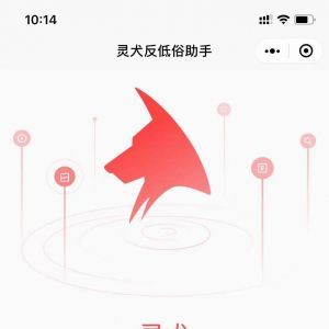 媒體公眾號(hào)開(kāi)發(fā)設(shè)計(jì)分析【今日頭條】