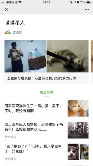 【波奇網(wǎng)】公眾號(hào)帳號(hào)主體是誰(shuí)_寵物微信公眾號(hào)開(kāi)發(fā)
