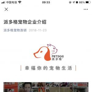 寵物公眾號開發(fā)_【派多格寵物】公眾號的企業(yè)類型