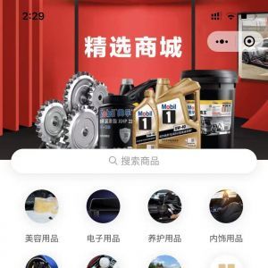 汽車公眾號開發_【天升車服】公眾號的企業類型