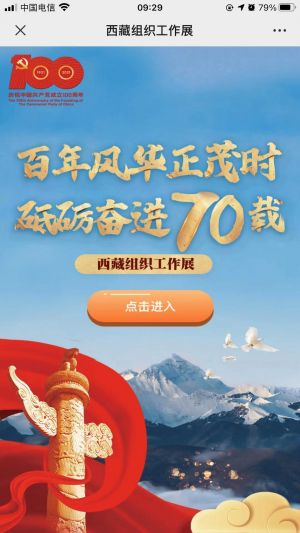 【西藏日報】公眾號的企業(yè)類型_西藏公眾號開發(fā)