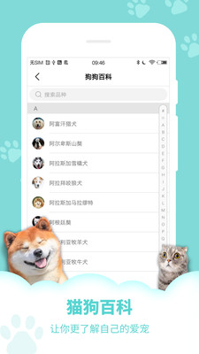 狗語翻譯器-娛樂消遣APP定制開發分析