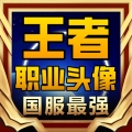 【王者職業頭像掛件】賀州小程序開發項目分析