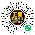 王者職業(yè)頭像掛件小程序二維碼