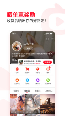 點淘-淘寶直播官方APP-購物商城APP定制開發創意設計欣賞