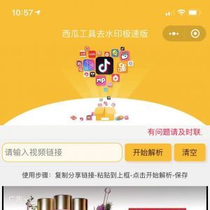 工具小程序開發功能分析【短視頻去水印|西瓜工具去水印極速版】