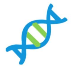 智慧醫生，基因與靶向藥信息查詢小程序圖標