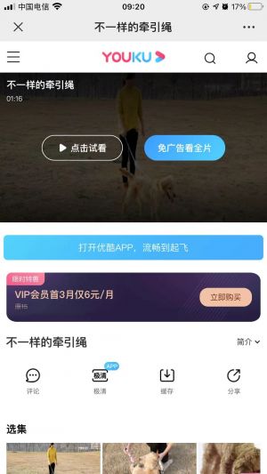 【得樂寵物好伙伴】蘇州小程序開發價格預估