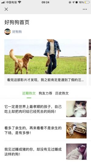 寵物微信公眾號(hào)開發(fā)_【好狗狗】公眾號(hào)圖標(biāo)