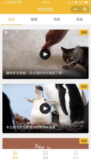 吸寵吧小程序設計圖1