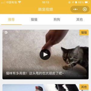 【吸寵吧】寵物小程序開發方案分析