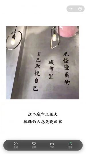 蜜蜂壁紙小程序設計圖2