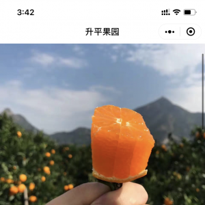 資訊小程序制作_【升平果園涌泉蜜桔采摘園】小程序開發(fā)者是誰(shuí)