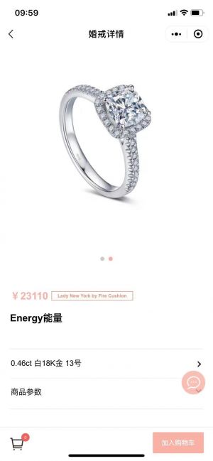 【鉆石小鳥】公眾號的企業(yè)類型_上海微信公眾號開發(fā)