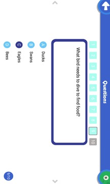 學習教育APP開發創意設計欣賞-金耳朵英語