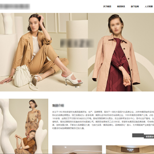 服裝網(wǎng)站建設(shè)基本流上海菲*服飾有限公司